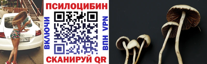 купить   Горячий Ключ  Псилоцибиновые грибы Psilocybine cubensis 